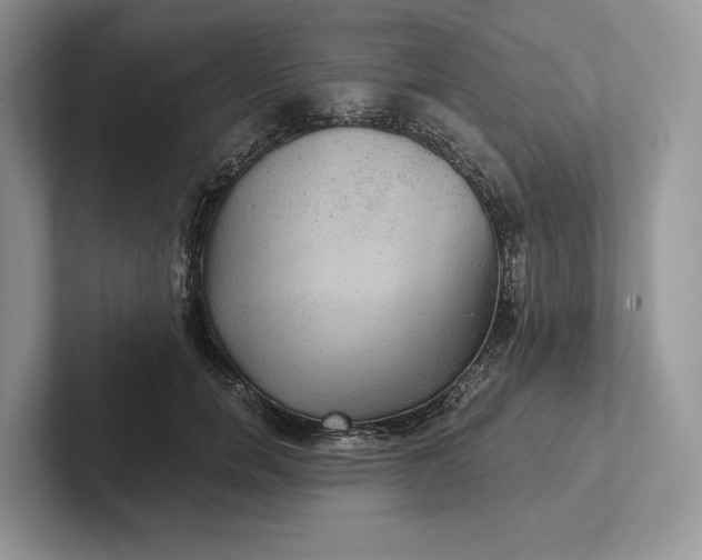 X0000101450750200807211312