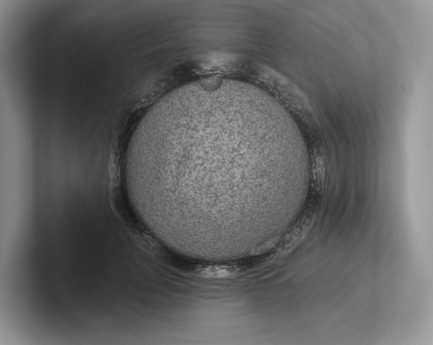 X0000101450751200807211312