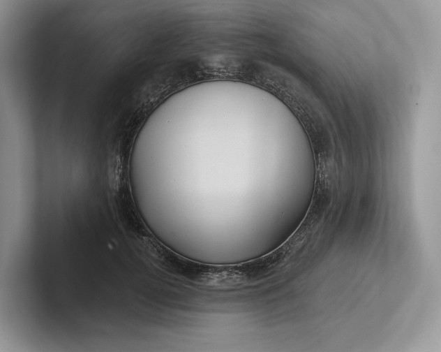 X0000101450752200807211312