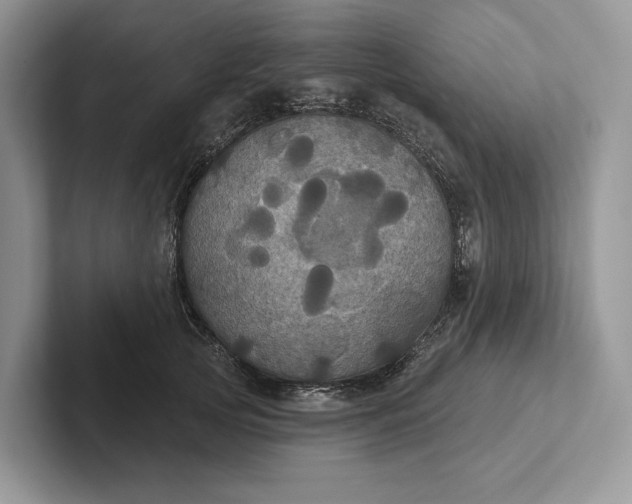 X0000101450753200807211312