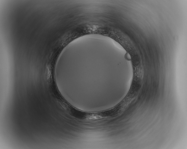 X0000101450754200807211312