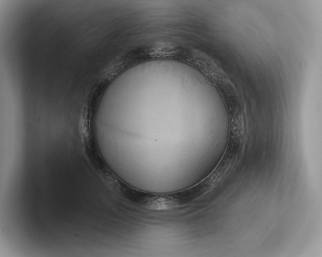 X0000101450755200807211312