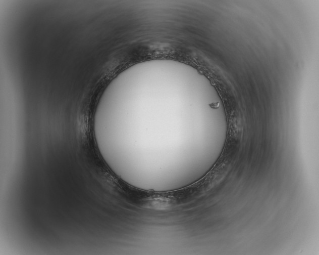 X0000101450756200807211312