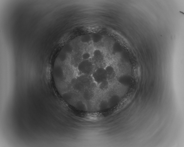 X0000101450757200807211312