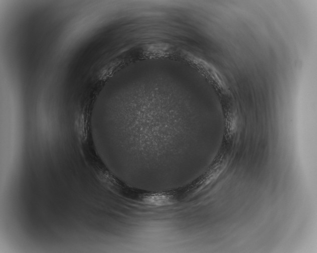 X0000101450759200807211312