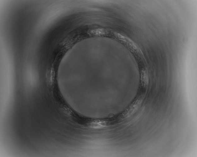 X0000101450760200807211312