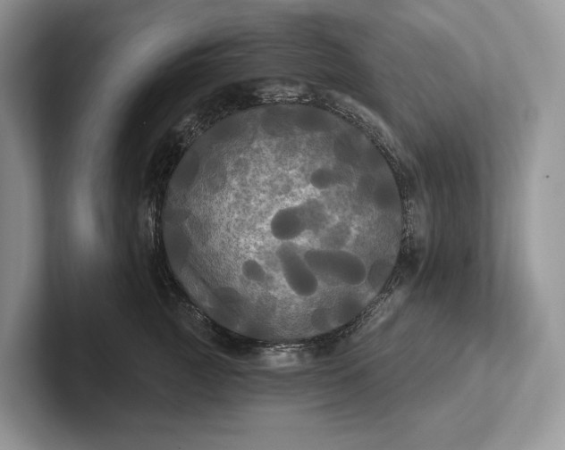 X0000101450761200807211312