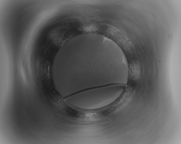 X0000101450762200807211312