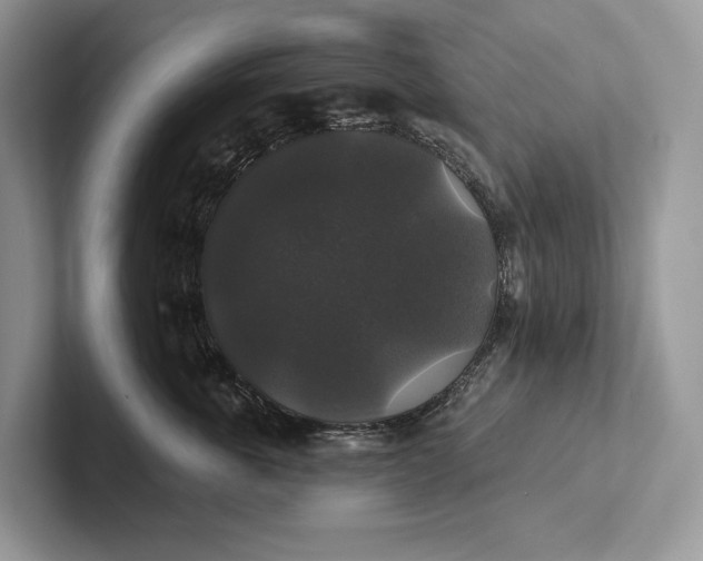 X0000101450763200807211312