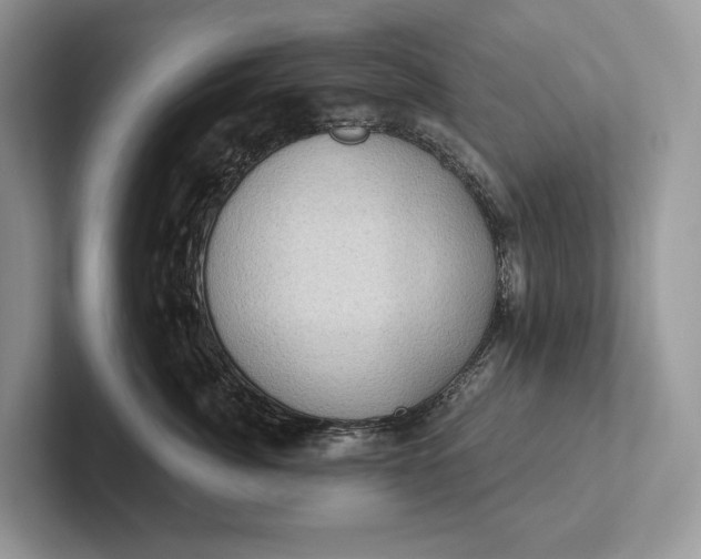 X0000101450764200807211312