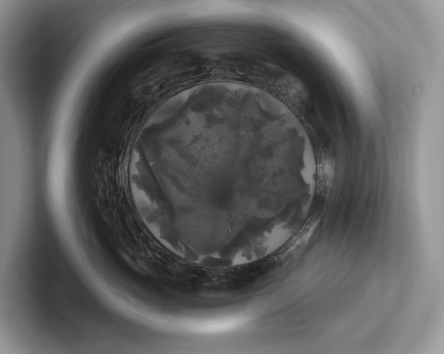 X0000101450765200807211312