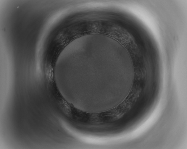 X0000101450766200807211312