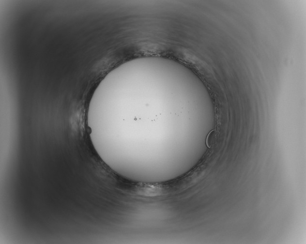 X0000101450768200807211313