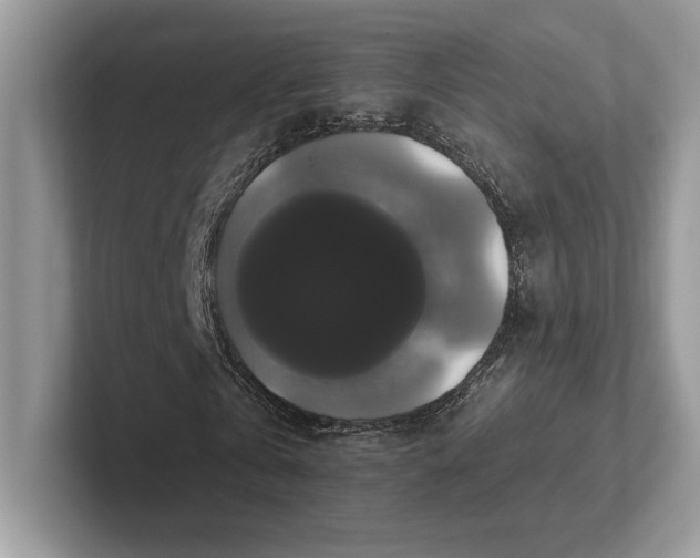 X0000101450769200807211312