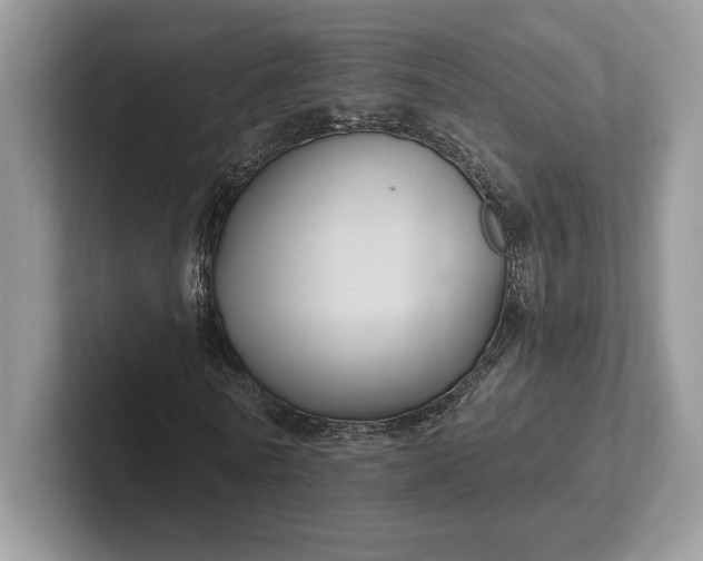 X0000101450770200807211312