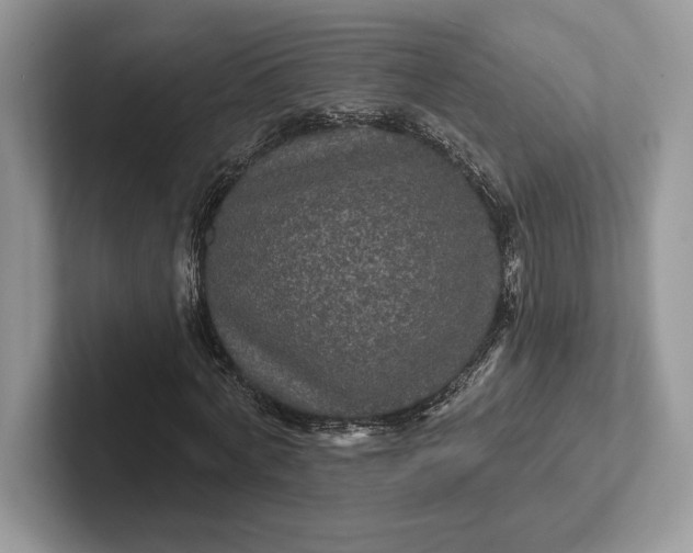 X0000101450772200807211312