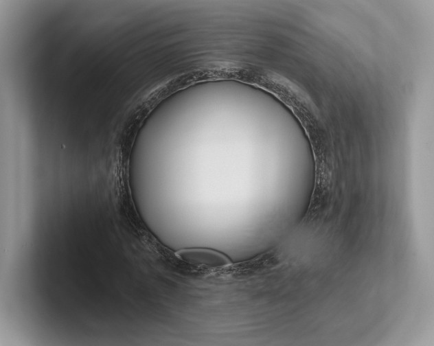 X0000101450773200807211312