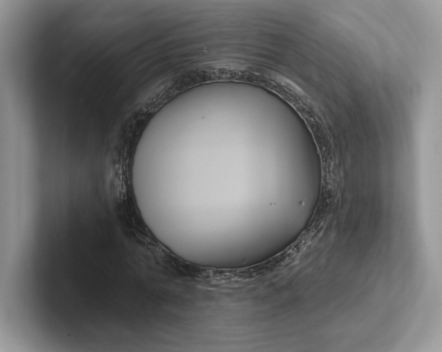 X0000101450774200807211312