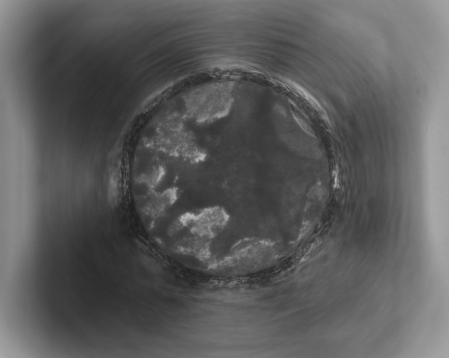 X0000101450775200807211312