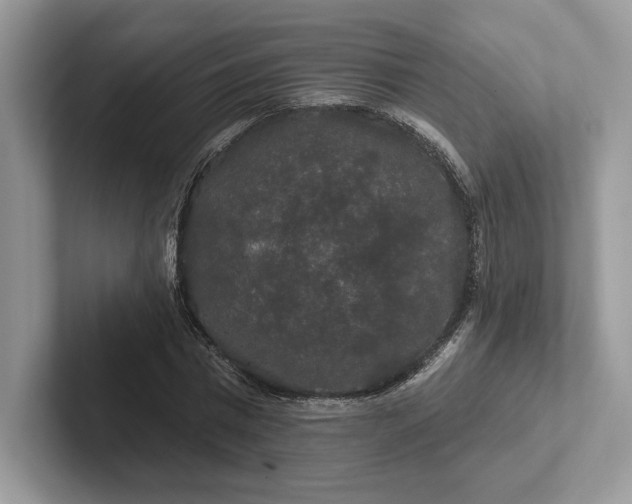 X0000101450777200807211312