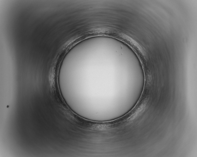 X0000101450778200807211312