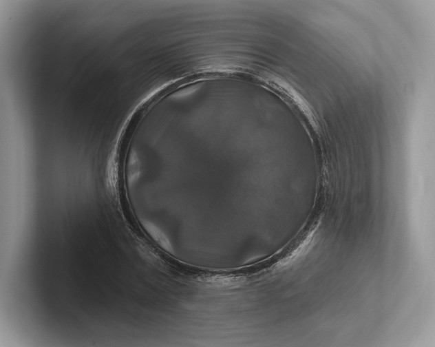 X0000101450779200807211312