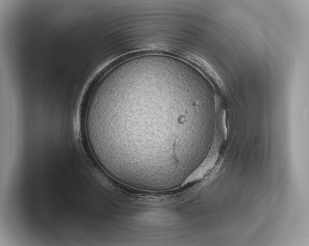 X0000101450780200807211312