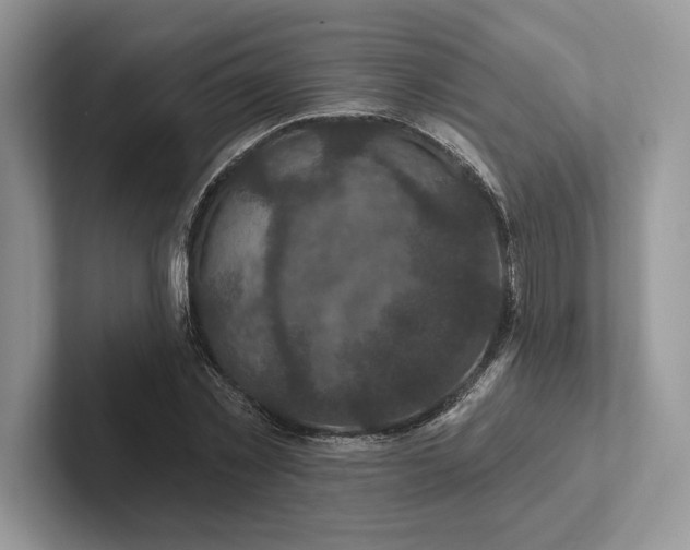 X0000101450781200807211312