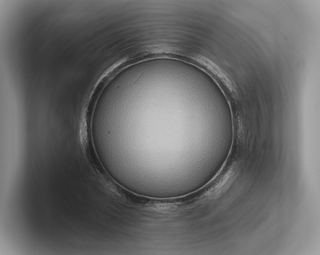 X0000101450782200807211312