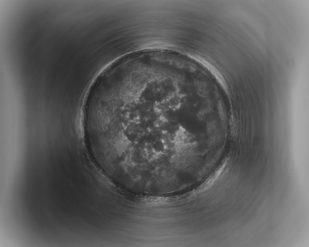 X0000101450783200807211312