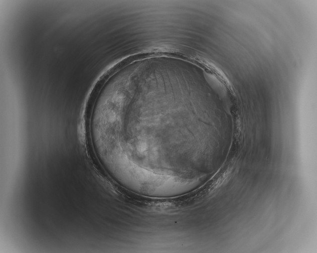 X0000101450784200807211312