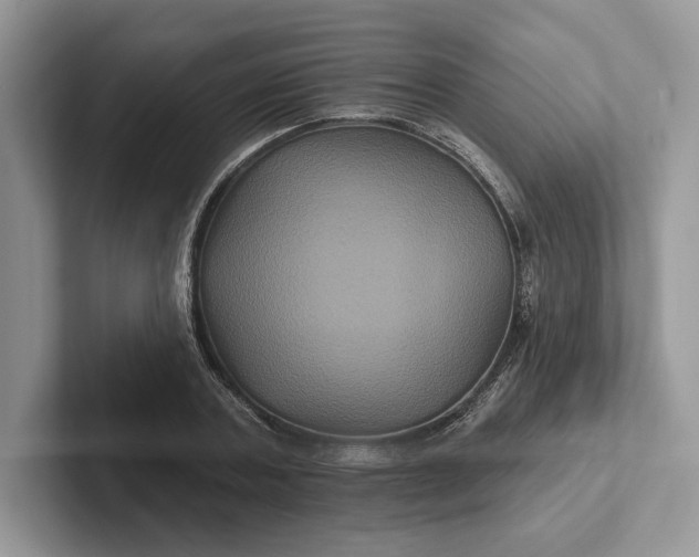 X0000101450787200807211312