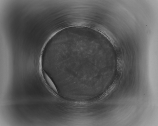 X0000101450788200807211312