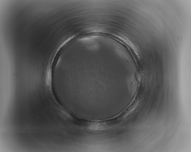 X0000101450790200807211312