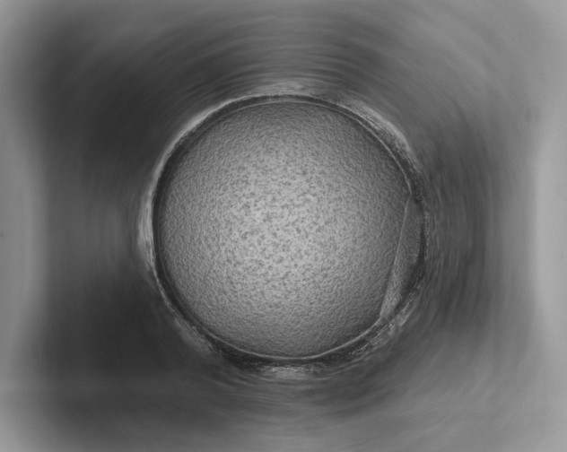 X0000101450792200807211312