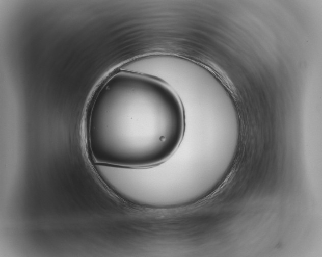 X0000101450796200807211311