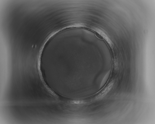 X0000101450797200807211311