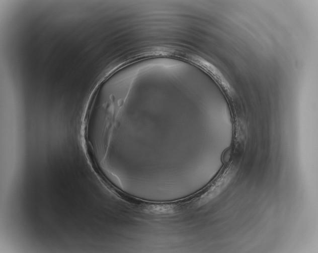 X0000101450802200807211311