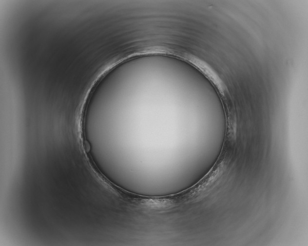 X0000101450805200807211311