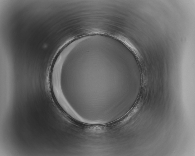 X0000101450806200807211311