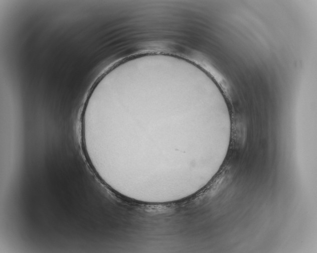 X0000101450807200807211311