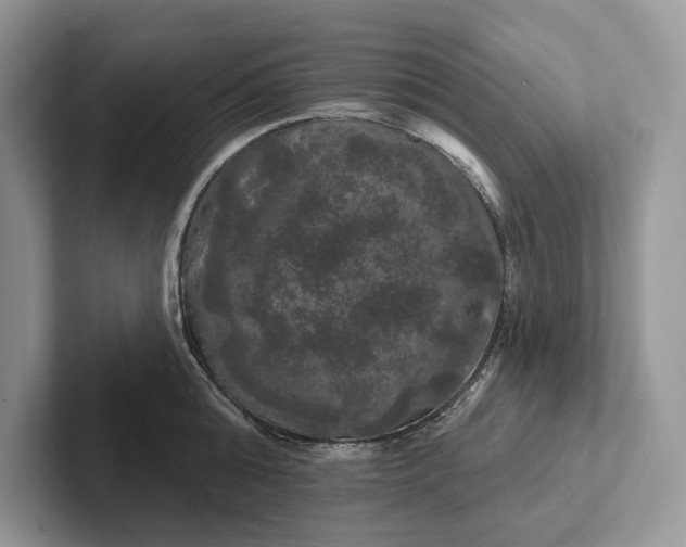 X0000101450808200807211311