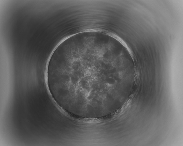 X0000101450811200807211311