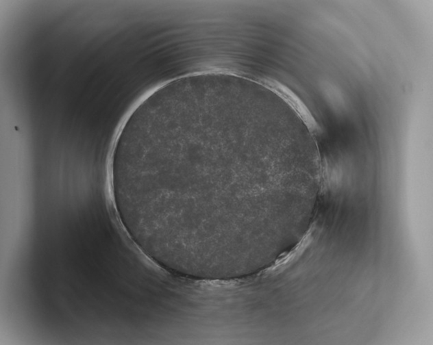 X0000101450812200807211311