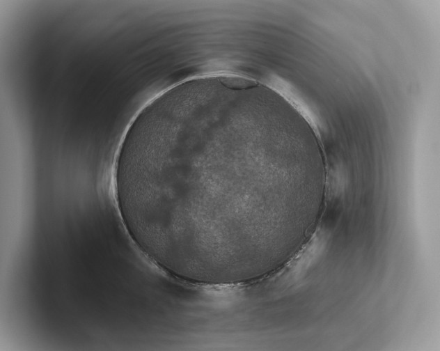 X0000101450813200807211311