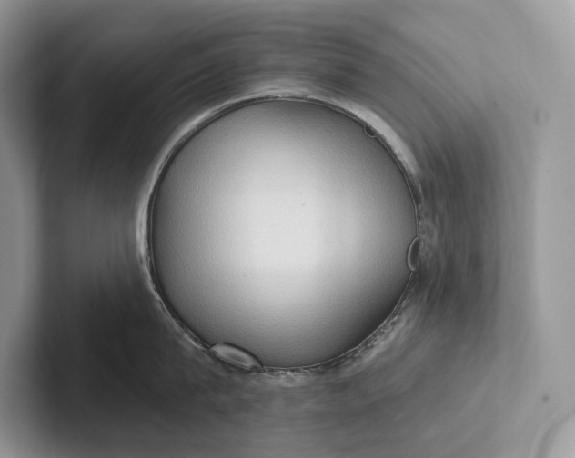 X0000101450815200807211311