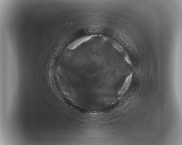 X0000101450817200807211311