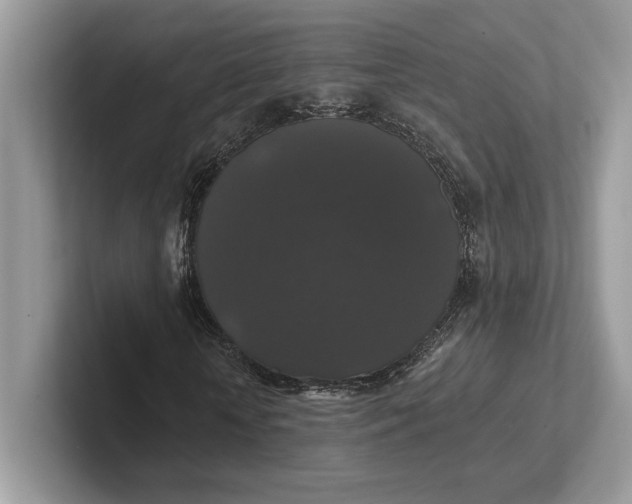 X0000101450818200807211311