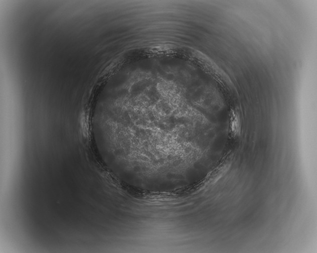 X0000101450819200807211311