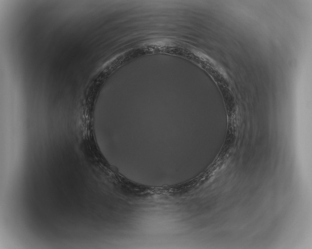 X0000101450822200807211311